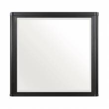 1381-6 Mirror