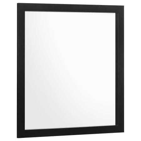 224454 MIRROR