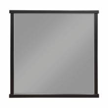 1343-6 Mirror