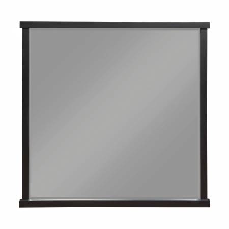 1343-6 Mirror