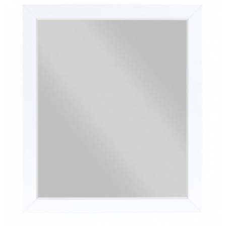 B2012-6 Mirror