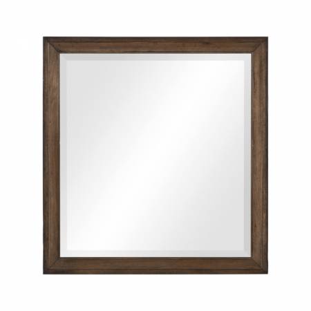 1584-6 Mirror