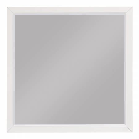 1803W-6 Mirror