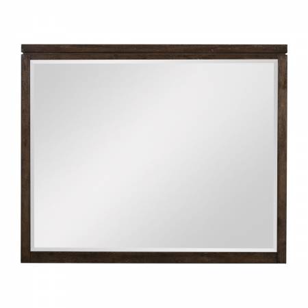 1669-6 Mirror