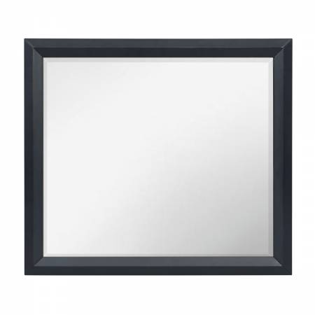 1553-6 Mirror