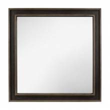 1695-6 Mirror