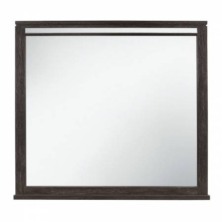 1518-6 Mirror