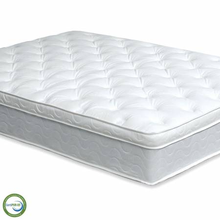 DM315Q BIRD OF PARADISE EURO PILLOW TOP MATTRESS QUEEN