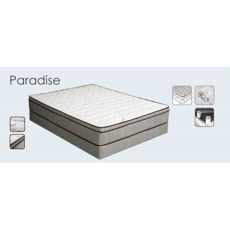 Paradise 10.5" Euro-Pillow Top E.King