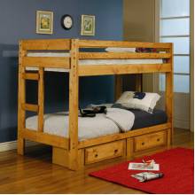 Wrangle Hill Twin Over Twin Bunk Bed with Built-In Ladders